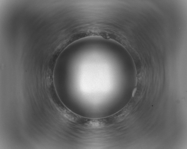 X0000067830464200604171131