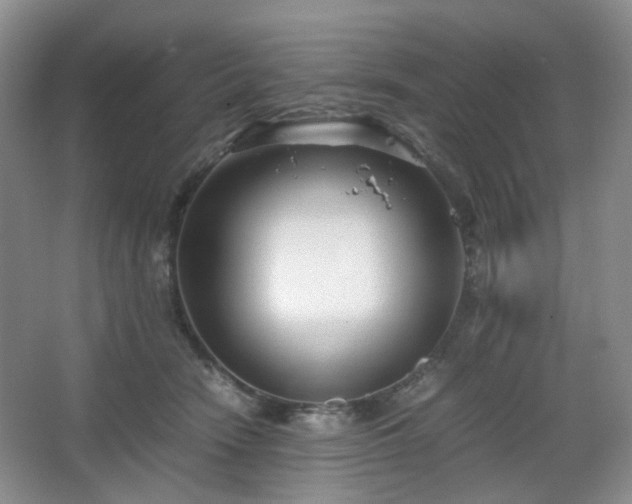 X0000067830466200604171131