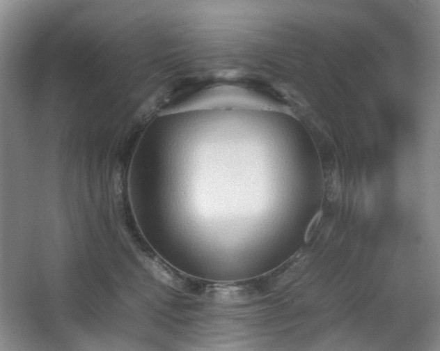 X0000067830472200604171131