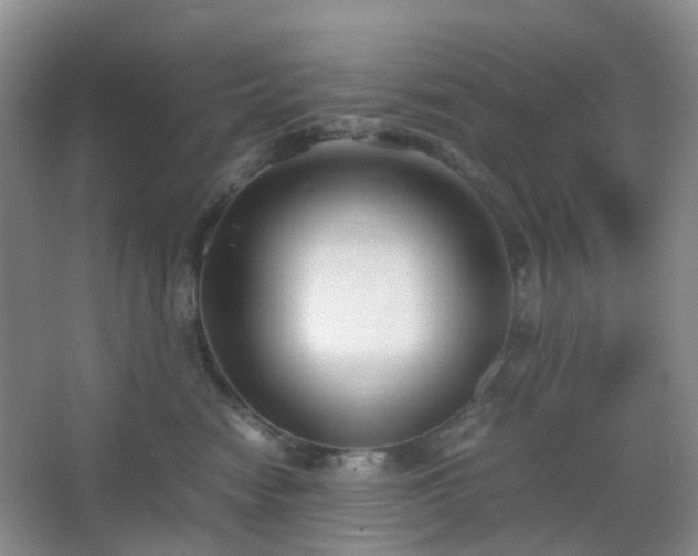 X0000067830474200604171131