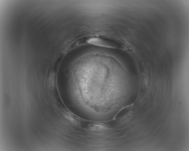 X0000067830475200604171131