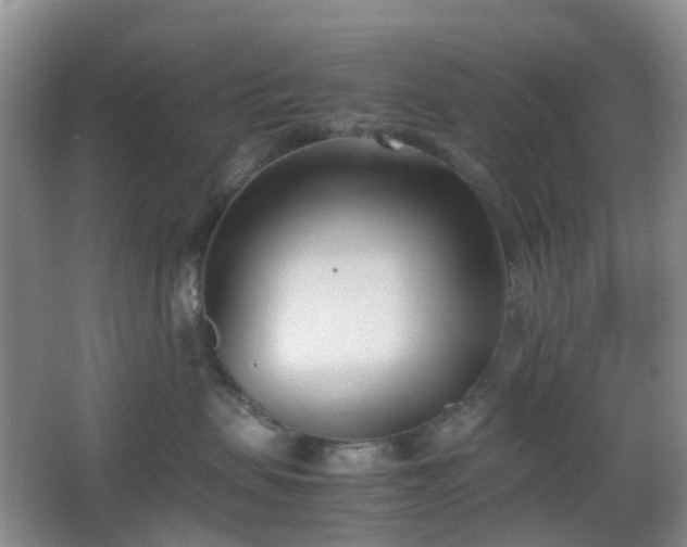 X0000067830479200604171132