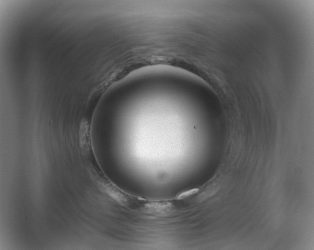 X0000067830480200604171132