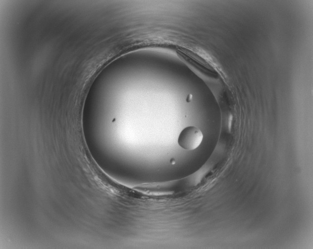 X0000067830481200604171131