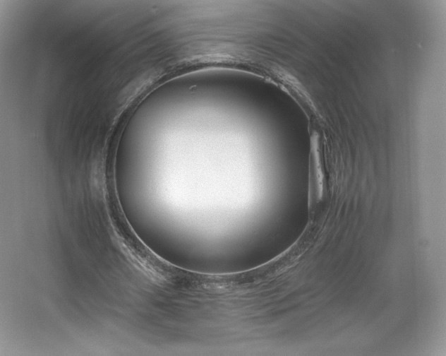 X0000067830482200604171131