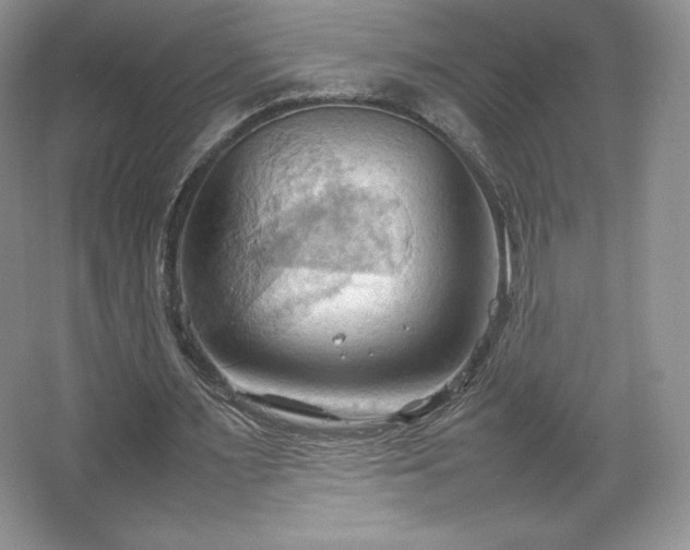 X0000067830483200604171131