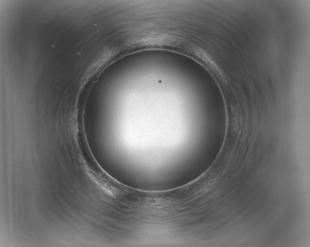 X0000067830486200604171131