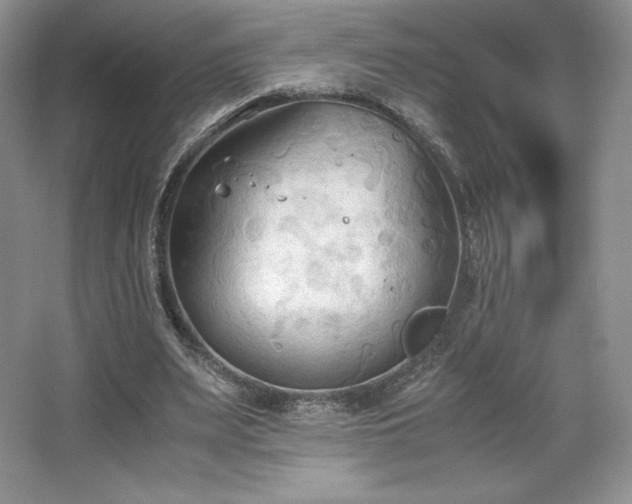 X0000067830487200604171131