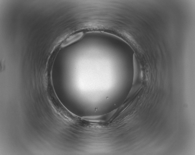 X0000067830488200604171131