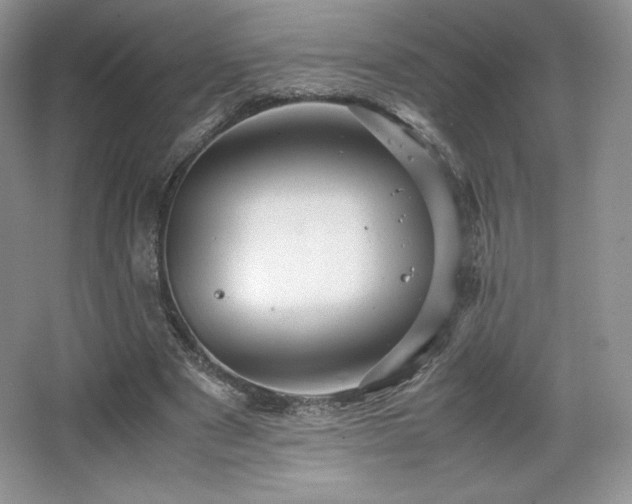 X0000067830489200604171131