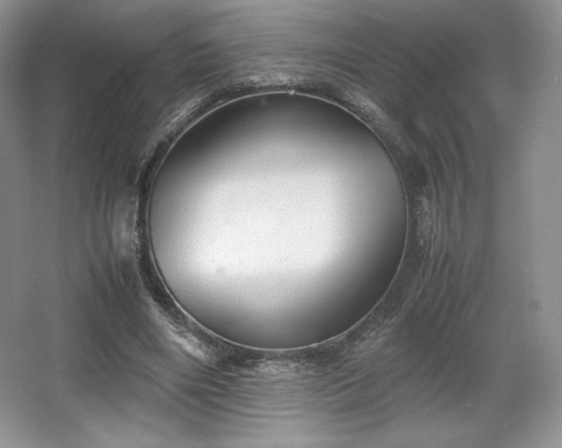 X0000067830490200604171131