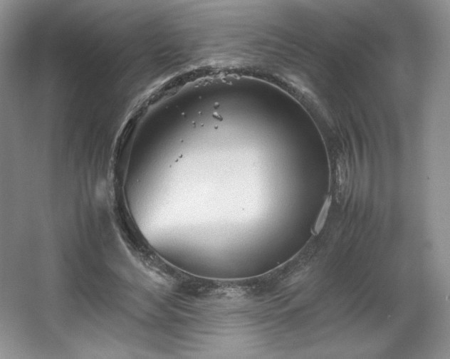 X0000067830492200604171131