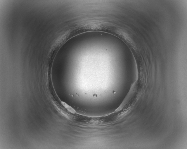 X0000067830493200604171131