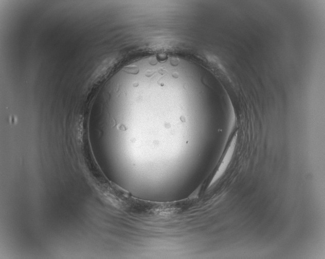 X0000067830495200604171131