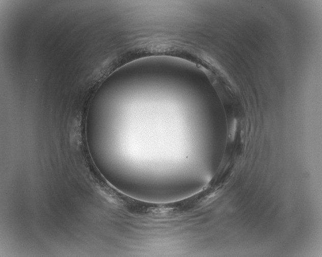 X0000067830497200604171130