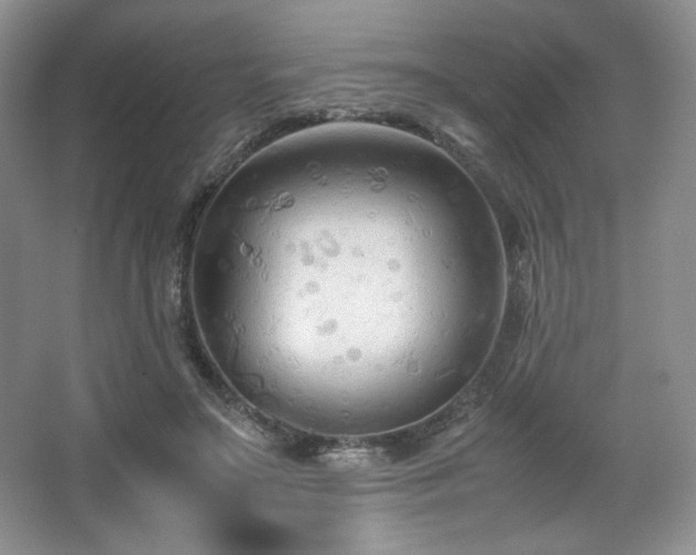 X0000067830499200604171130