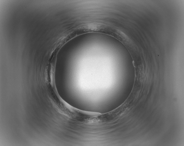 X0000067830500200604171130