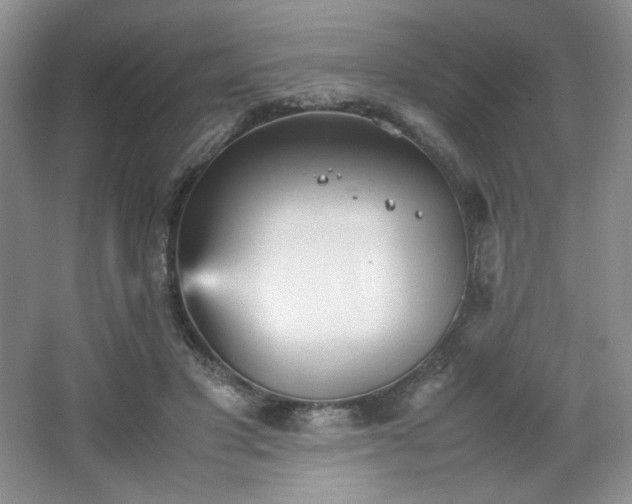 X0000067830501200604171130