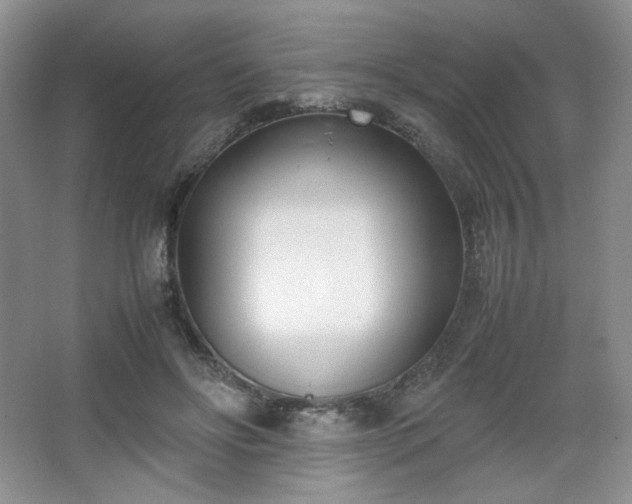 X0000067830502200604171130