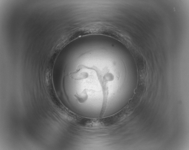 X0000067830503200604171130