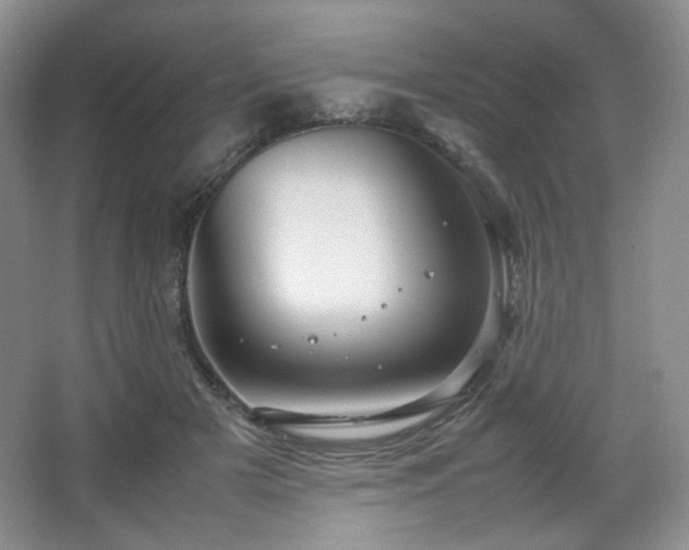 X0000067830505200604171130