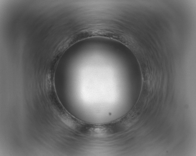 X0000067830506200604171130