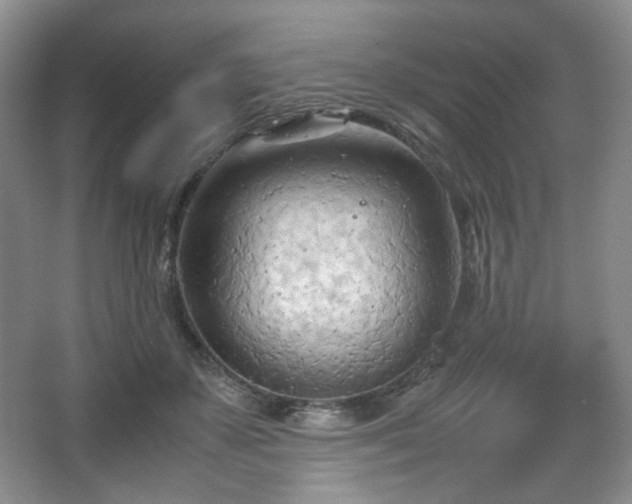 X0000067830507200604171130