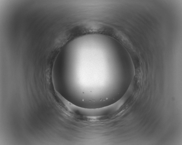 X0000067830509200604171130