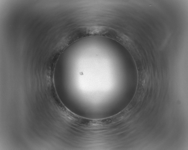 X0000067830510200604171130