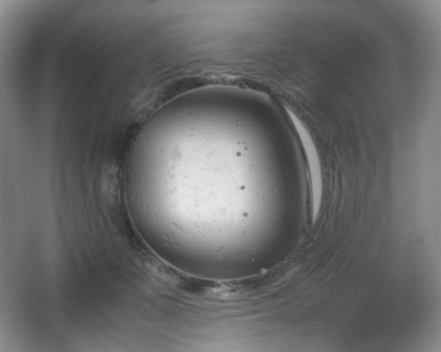 X0000067830511200604171130