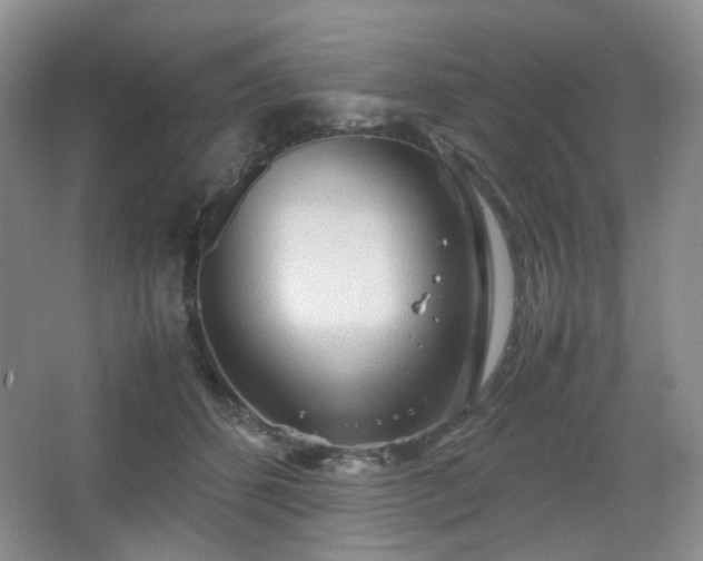 X0000067830512200604171130