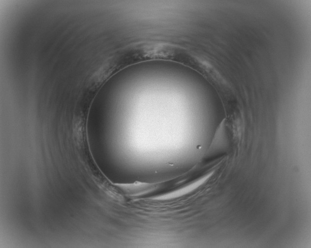 X0000067830513200604171130