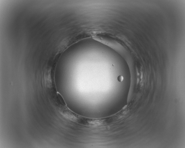 X0000067830516200604171130