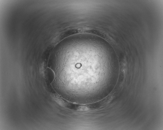 X0000067830519200604171130