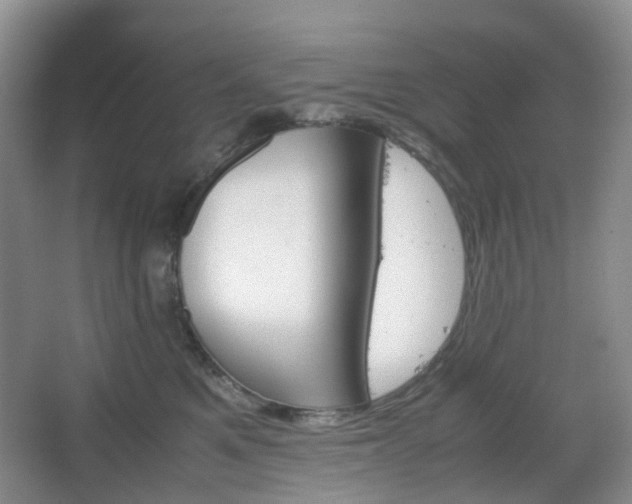 X0000067830521200604171130