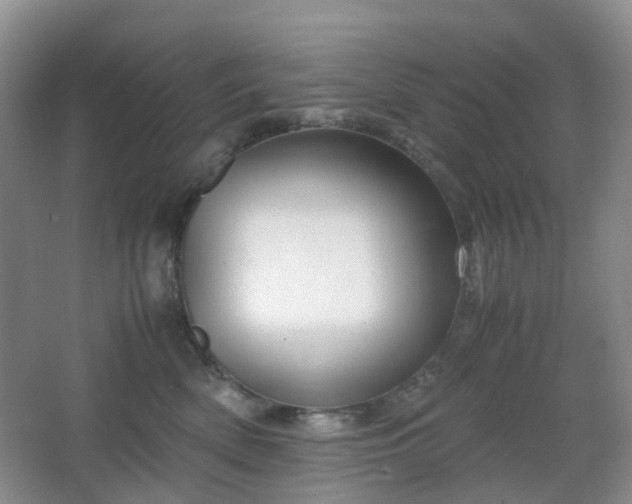 X0000067830522200604171130