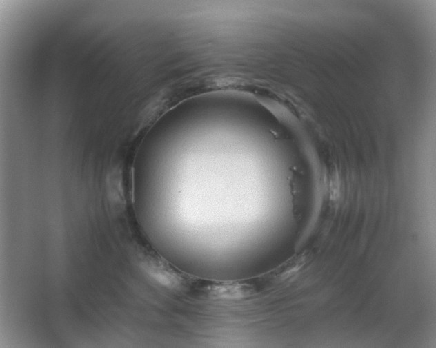 X0000067830524200604171130