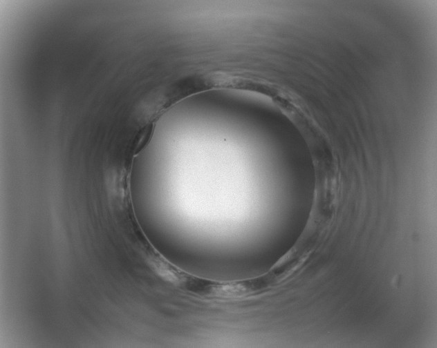 X0000067830525200604171130