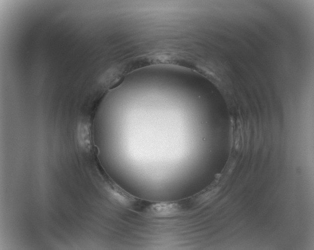 X0000067830526200604171130