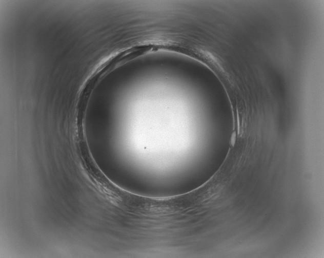 X0000067830531200604171129