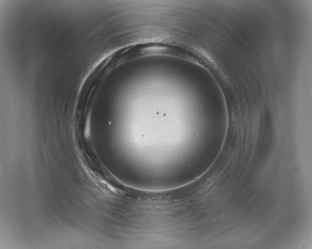 X0000067830532200604171129