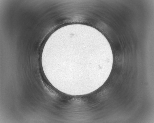 X0000067830534200604171129