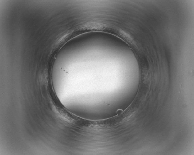 X0000067830538200604171129