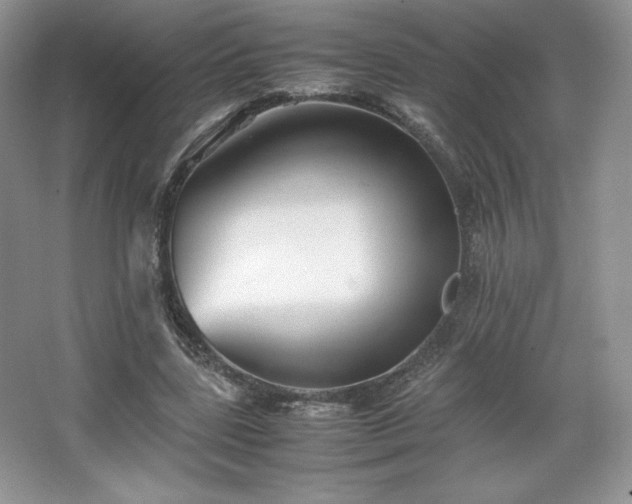 X0000067830539200604171129