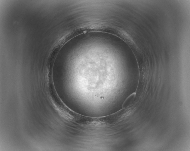 X0000067830542200604171129