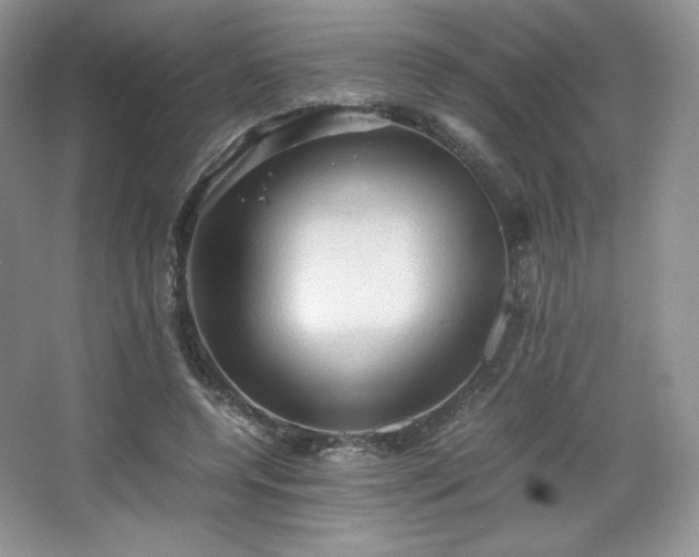 X0000067830544200604171129