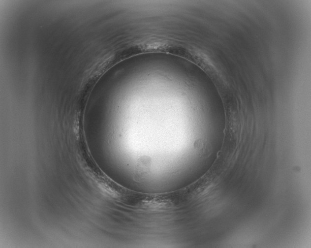 X0000067830545200604171129