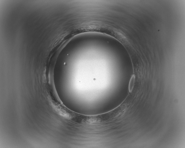 X0000067830546200604171129