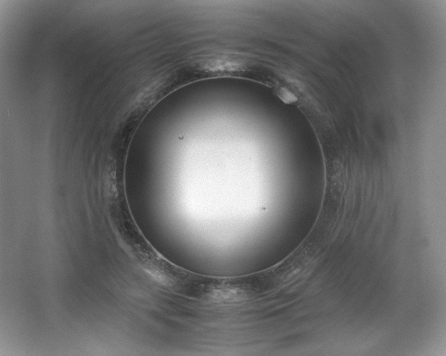 X0000067830547200604171129