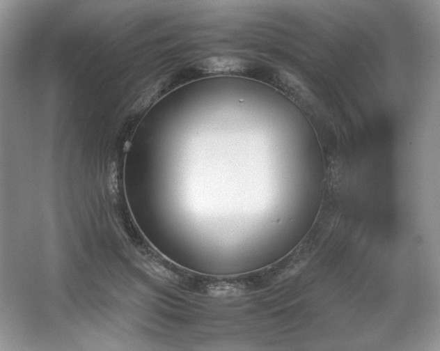 X0000067830549200604171129